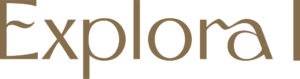 Ativo 313